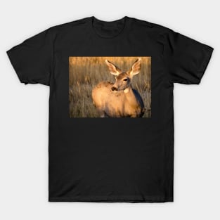 Mule Deer in Afternoon Light T-Shirt